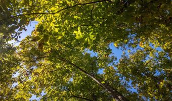 County Road 204, Alton, MO 65606