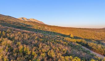 Old Herron Road lot 48, Basalt, CO 81621