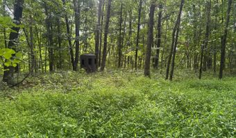 37928 Buck Run Rd, Albany, OH 45710