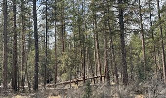 Bufflehead Drive TL 10, Bonanza, OR 97623
