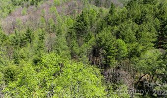 Mitchell Avenue, Bakersville, NC 28705