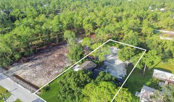 2313 Hamilton Ave, Alva, FL 33920