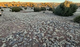 4970 Hollyhock St, Clay Springs, AZ 85923