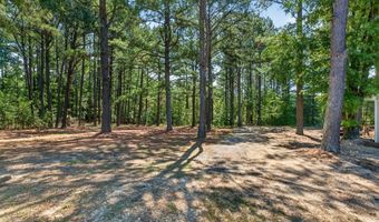 3100 Pleasant Plains Rd, Apex, NC 27502
