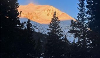 868 NUTHATCH Dr, Alma, CO 80420