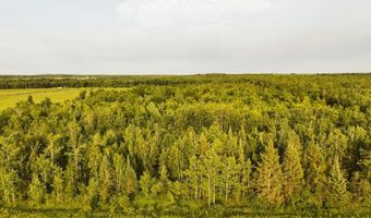 ON SURING LN unit 24+ Acres 24+ Acres, Argonne, WI 54511