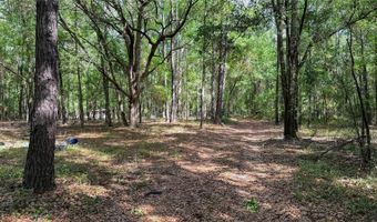 7922 SW COUNTY ROAD 346, Archer, FL 32618