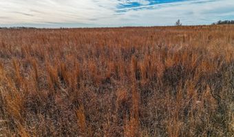 15317 Co Rd A, Allison, TX 79003