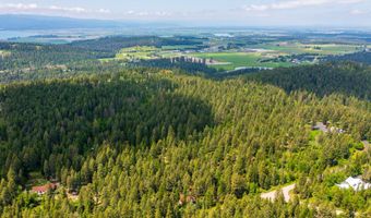 510 Swan Hill Rd, Bigfork, MT 59911