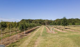 1904 Highway 341 S, Barnesville, GA 30204