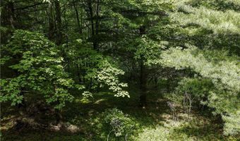 738 Four Mile Rd, Allegany, NY 14706
