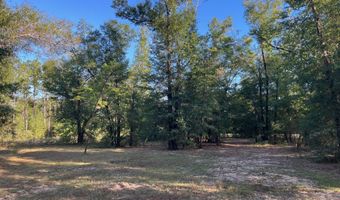 7958 NW County Rd 274, Altha, FL 32421