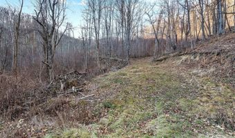 NC 209 Highway, Aurora, NC 28743