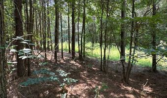 0 Highway 140 Tract D NW, Adairsville, GA 30103