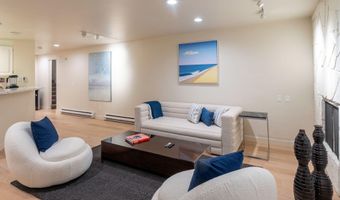 506 W Hallam St, Aspen, CO 81611