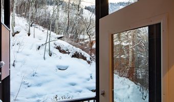800 S Mill St 201C, Aspen, CO 81611