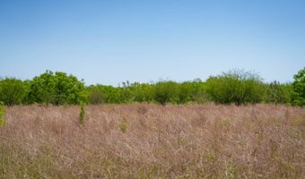 FM 735, Alice, TX 78332