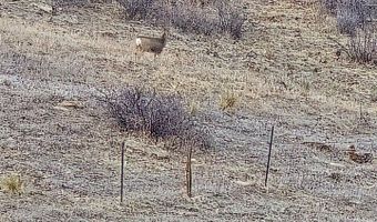 0 Beverly Dr, Berthoud, CO 80513
