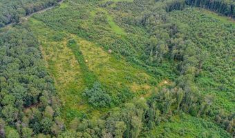 62- Acres Grandmas Hill Rd, Amherst, VA 24521