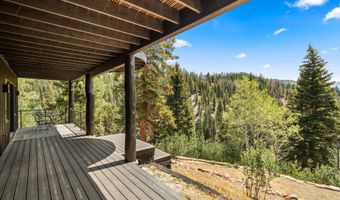 1340 Mclaughlin Ln, Basalt, CO 81621