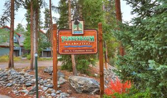 805 Columbine Rd 102, Breckenridge, CO 80424
