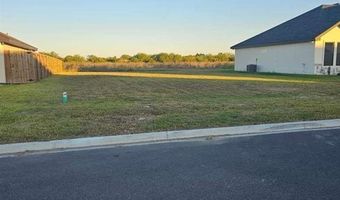 1020 Broken Arrow Dr, Alamo, TX 78516