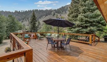209 Deer Path Ln, Almont, CO 81230