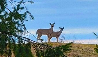 Maxey Road, Arcadia, MI 49613