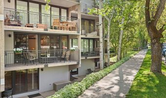 800 E Hopkins Ave A-3, Aspen, CO 81611