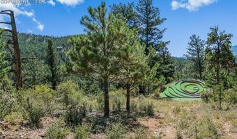 682 Buddy Rd, Bailey, CO 80421