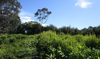 PUKEAWE CIR Lot #: 240, Hawaiian Ocean View, HI 96718