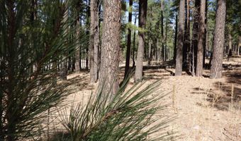 8 B County Road 2267 Escudilla Rd, Alpine, AZ 85920
