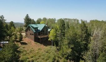 1402 N Aspen Dr, Brian Head, UT 84719