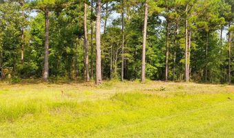 Lot 12 A Mountain View Way 12, Bainbridge, GA 39819
