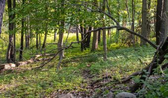 28 Mile Rd, Albion, MI 49224