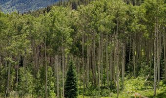 640 S Hayden Rd, Aspen, CO 81611