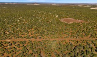 28 CR N8623, Concho, AZ 85924