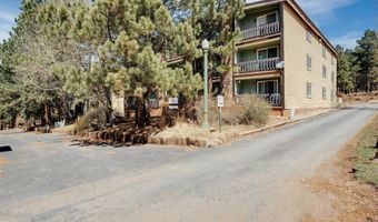 14 Jackson Hole Rd Unit 201, Angel Fire, NM 87710