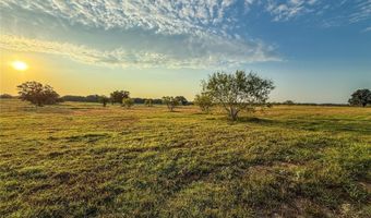 225 County Road 1475, Alvord, TX 76225