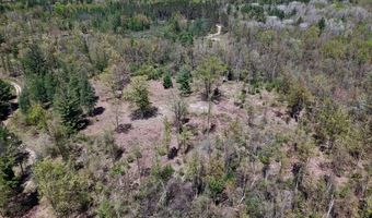 La Grant Road, Alger, MI 48610