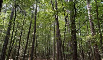 920 A Auburn Dr, Bogue Chitto, MS 39629