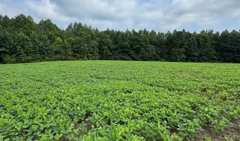 9891 Baskerville Rd, Baskerville, VA 23915