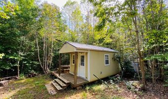 18 62 Ac Squirrell Hollow Rd, Alberta, VA 23821