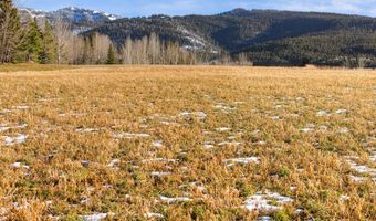 125 YELLOW ROSE Dr, Alta, WY 83414