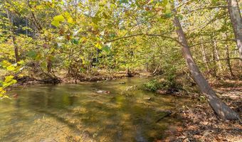 11504 Grapefield Rd, Bastian, VA 24314