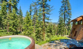 309 Snowshoe Rd, Bear Valley, CA 95223