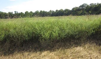 Baxter Rd, Ashford, AL 36312
