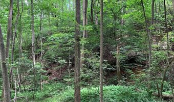 230 Harmony Vly, Alto, GA 30510