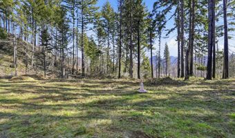 53189 MCKENZIE Hwy, Blue River, OR 97413
