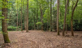 1034 Chestnut Flats Rd, Andrews, NC 28901
